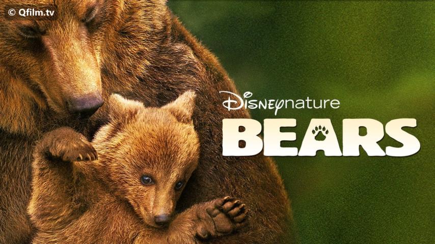 فيلم Bears 2014 مترجم