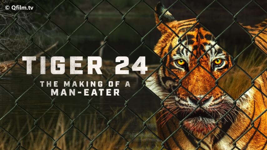 فيلم Tiger 24 2022 مترجم